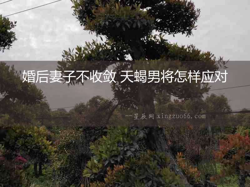 婚后妻子不收斂 天蝎男將怎樣應(yīng)對(duì)