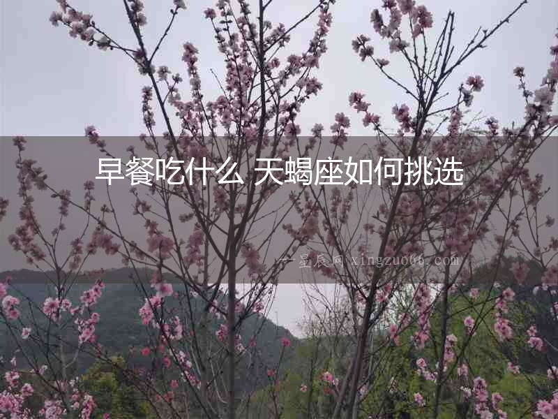 早餐吃什么 天蝎座如何挑選