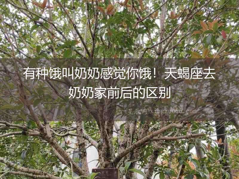 有種餓叫奶奶感覺你餓！天蝎座去奶奶家前后的區(qū)別