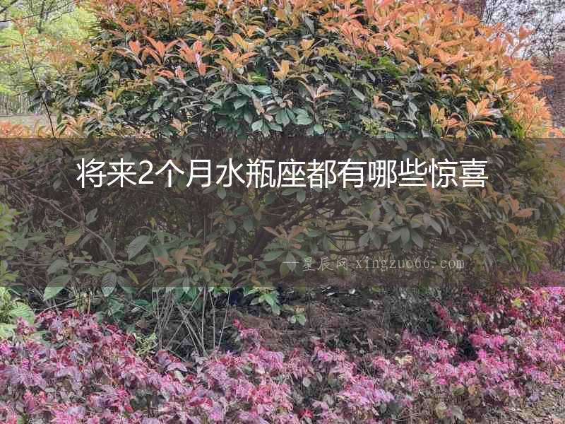 將來2個月水瓶座都有哪些驚喜