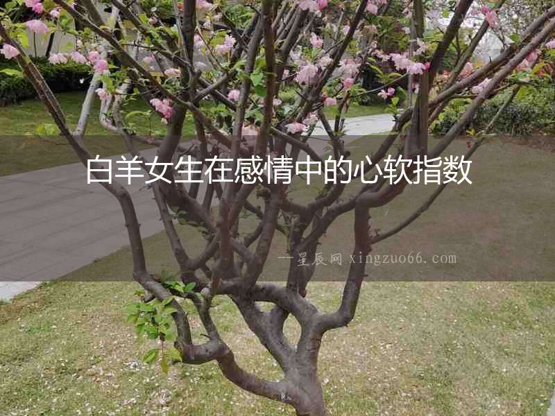 白羊女生在感情中的心軟指數