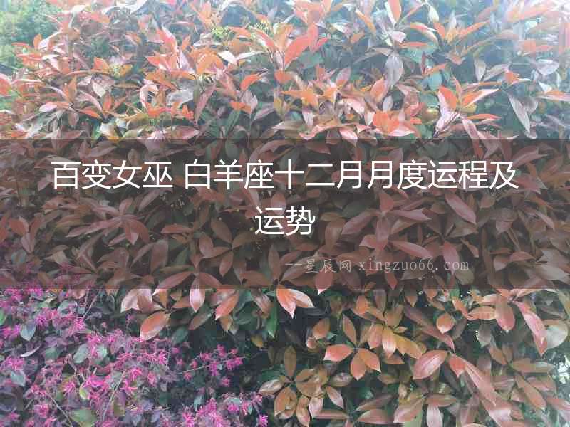 百變女巫 白羊座十二月月度運程及運勢