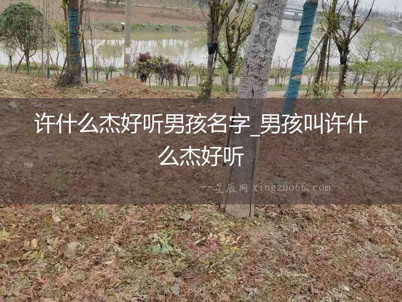 許什么杰好聽(tīng)男孩名字_男孩叫許什么杰好聽(tīng)