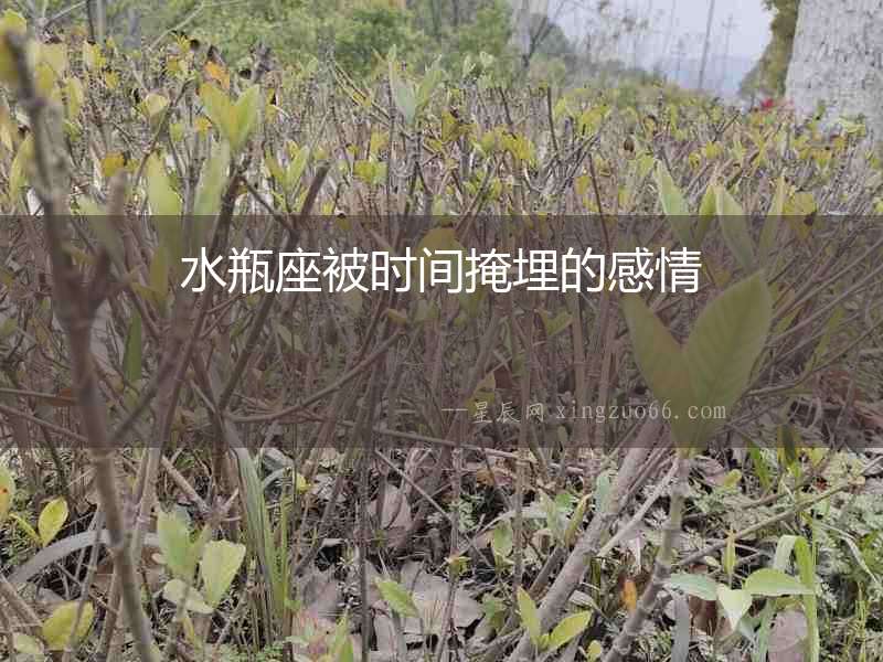 水瓶座被時間掩埋的感情