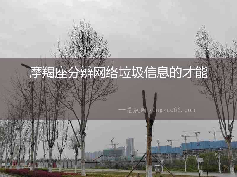 摩羯座分辨網(wǎng)絡(luò)垃圾信息的才能