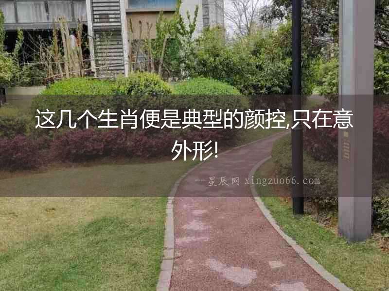 這幾個生肖便是典型的顏控,只在意外形!
