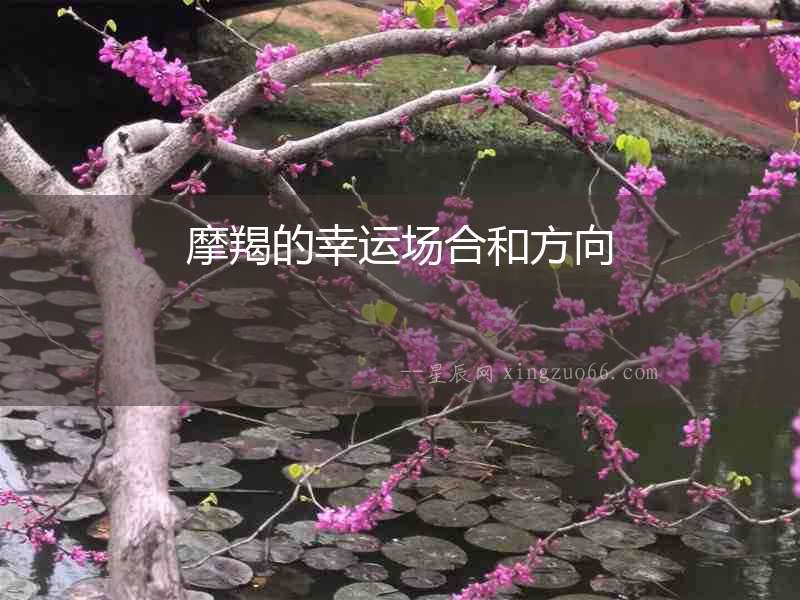 摩羯的幸運(yùn)場(chǎng)合和方向