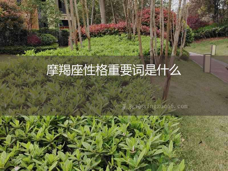 摩羯座性格重要詞是什么