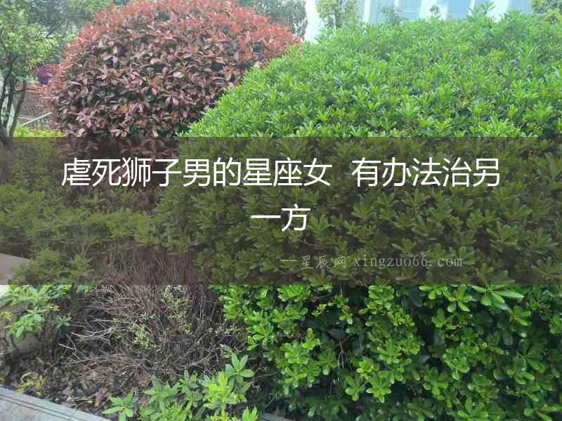 虐死獅子男的星座女  有辦法治另一方