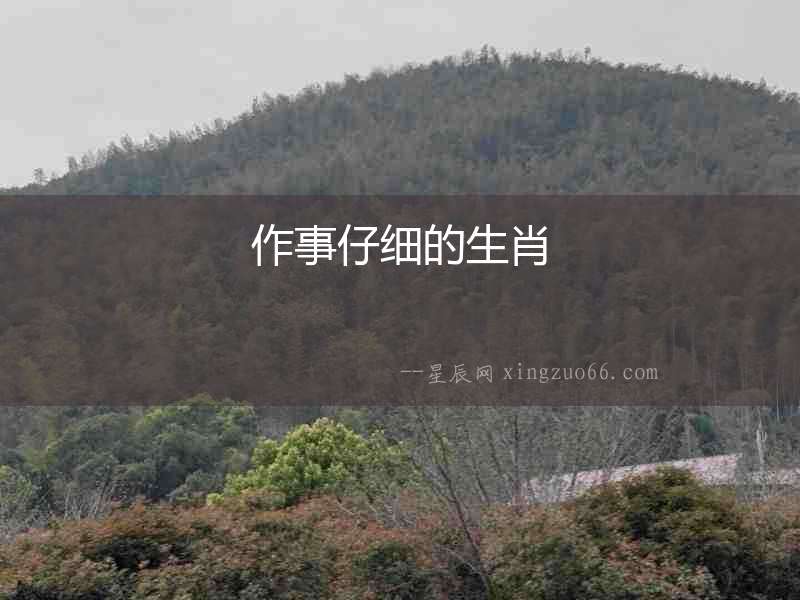 作事仔細的生肖