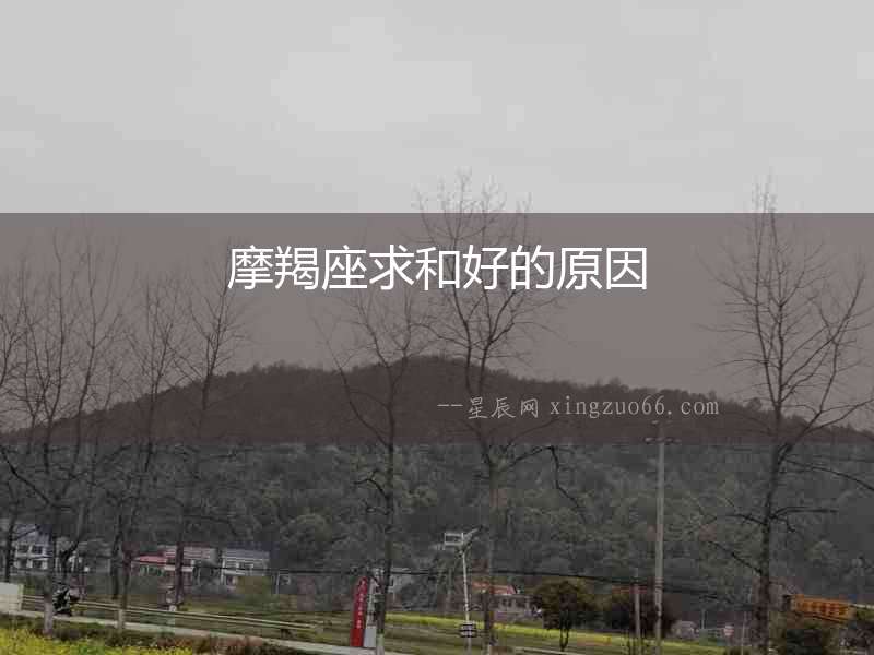 摩羯座求和好的原因