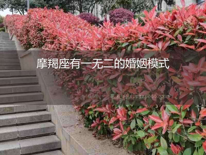 摩羯座有一無二的婚姻模式