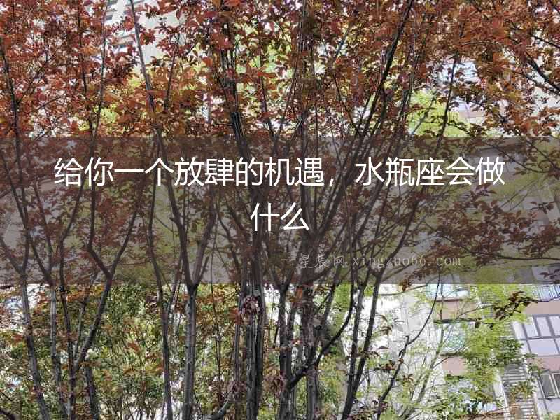 給你一個放肆的機遇，水瓶座會做什么