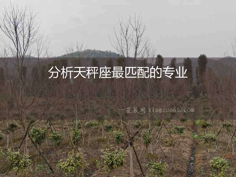 分析天秤座最匹配的專業