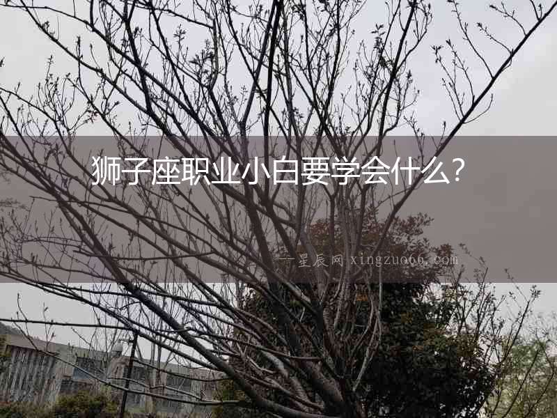 獅子座職業(yè)小白要學(xué)會什么？