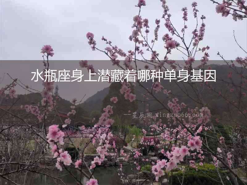 水瓶座身上潛藏著哪種單身基因