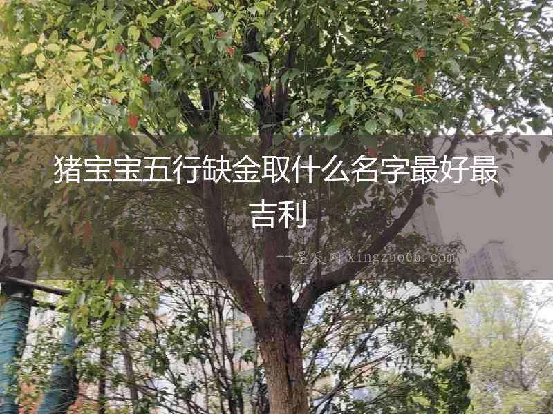 豬寶寶五行缺金取什么名字最好最吉利