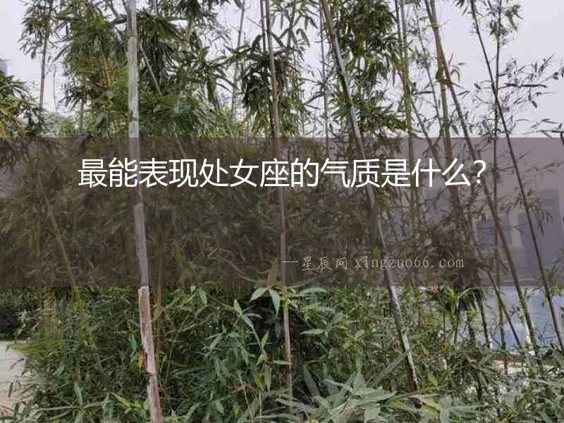 最能表現處女座的氣質是什么？