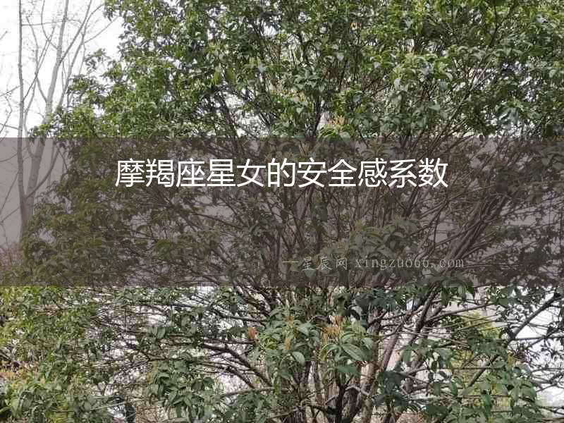 摩羯座星女的安全感系數