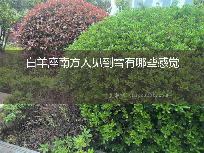 白羊座南方人見到雪有哪些感覺