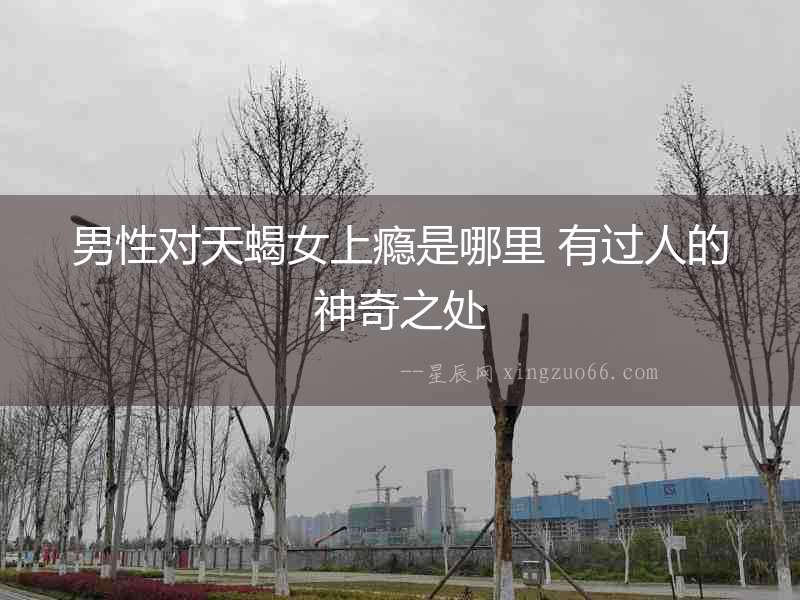 男性對天蝎女上癮是哪里 有過人的神奇之處