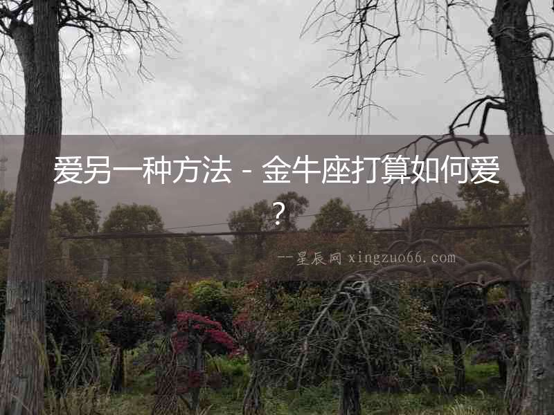 愛另一種方法－金牛座打算如何愛？
