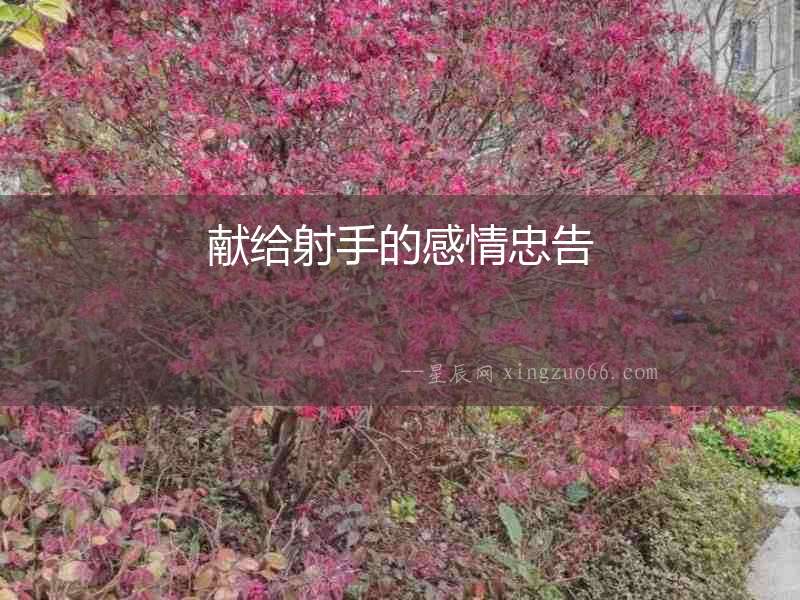 獻給射手的感情忠告