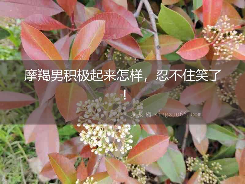 摩羯男積極起來怎樣，忍不住笑了！