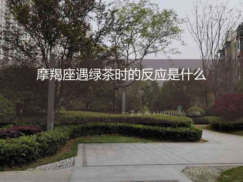 摩羯座遇綠茶時(shí)的反應(yīng)是什么