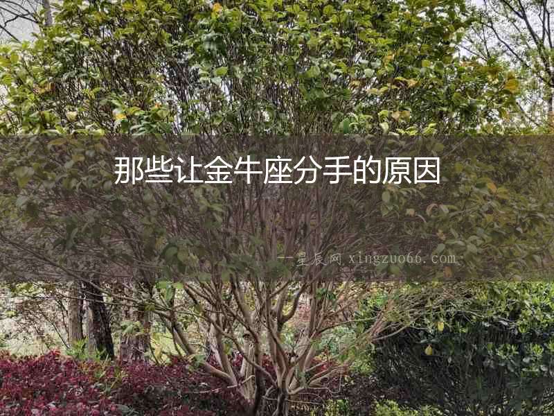 那些讓金牛座分手的原因