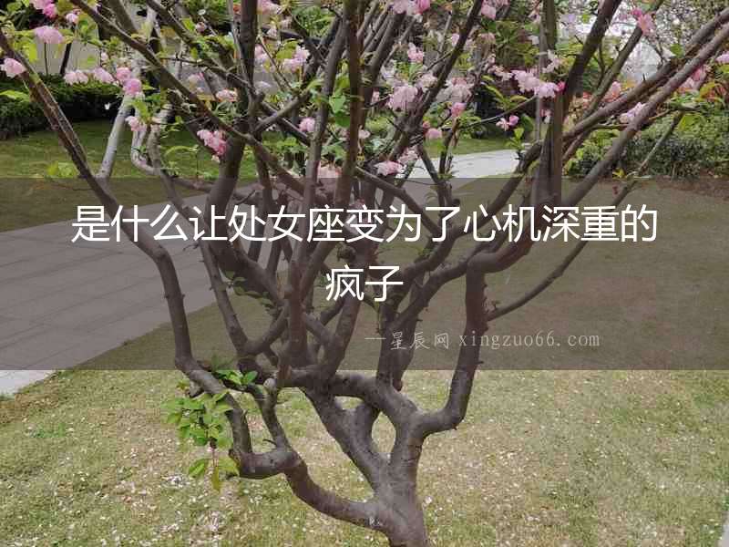 是什么讓處女座變?yōu)榱诵臋C深重的瘋子