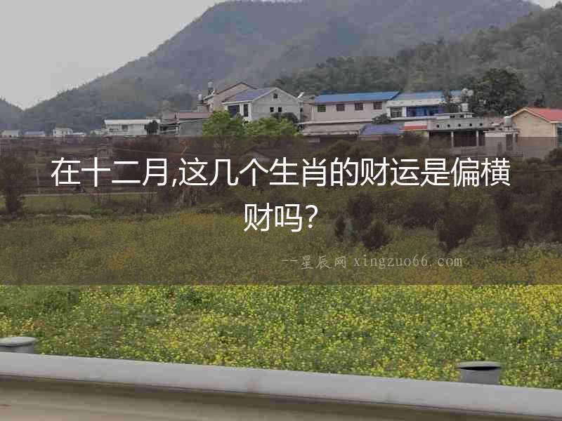 在十二月,這幾個生肖的財運(yùn)是偏橫財嗎？