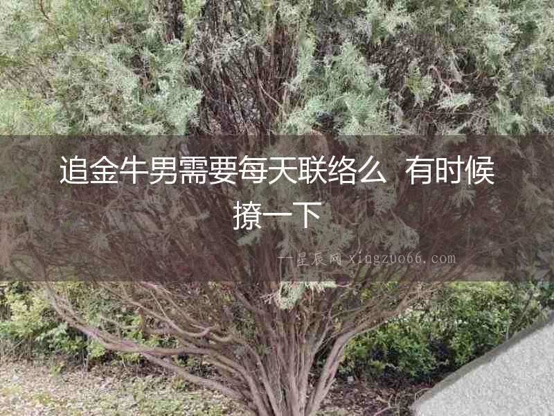 追金牛男需要每天聯(lián)絡(luò)么  有時候撩一下