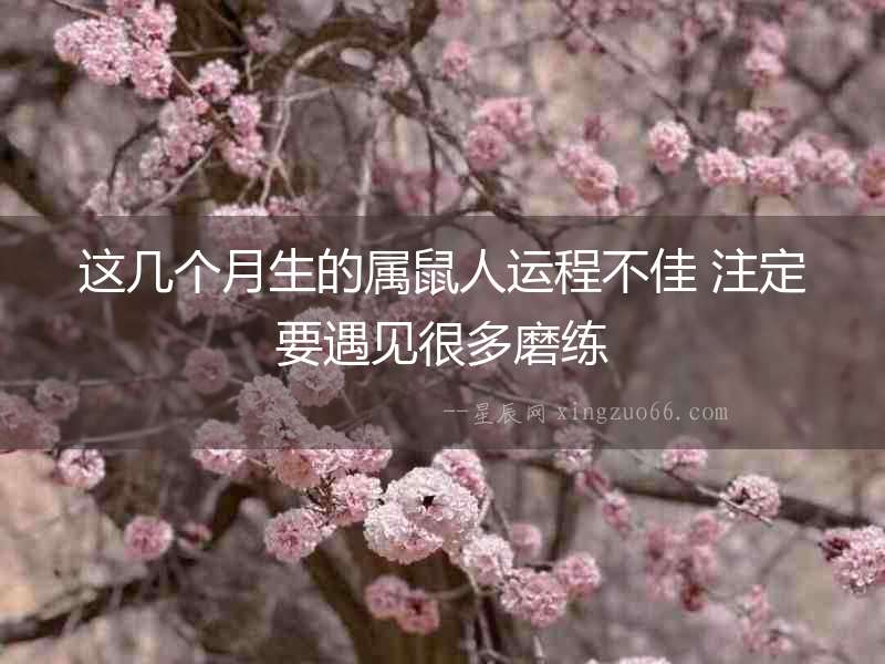 這幾個月生的屬鼠人運程不佳 注定要遇見很多磨練