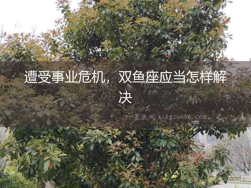 遭受事業(yè)危機，雙魚座應(yīng)當怎樣解決