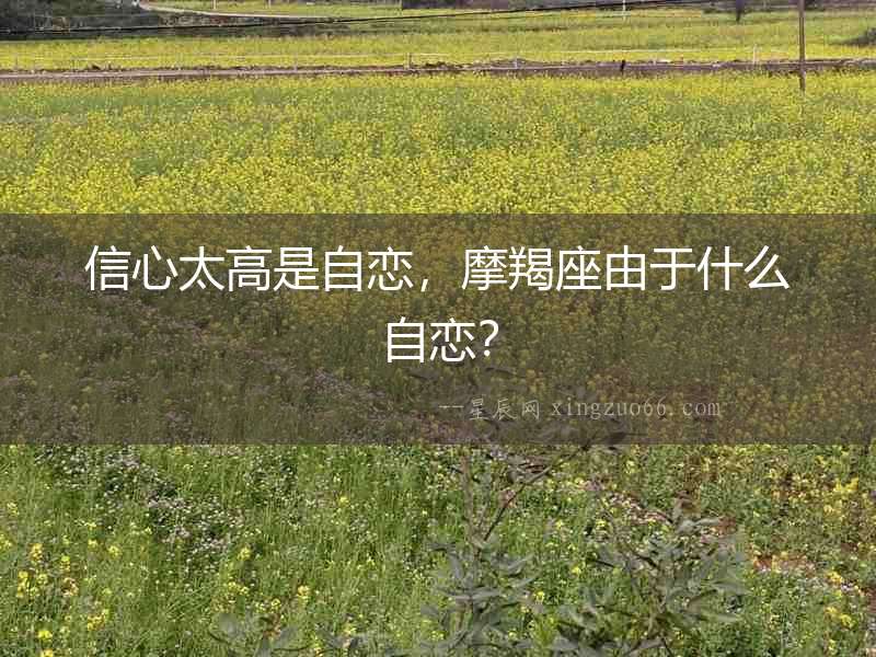 信心太高是自戀，摩羯座由于什么自戀？