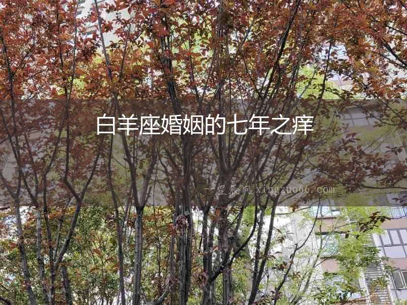 白羊座婚姻的七年之癢