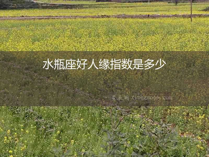 水瓶座好人緣指數是多少