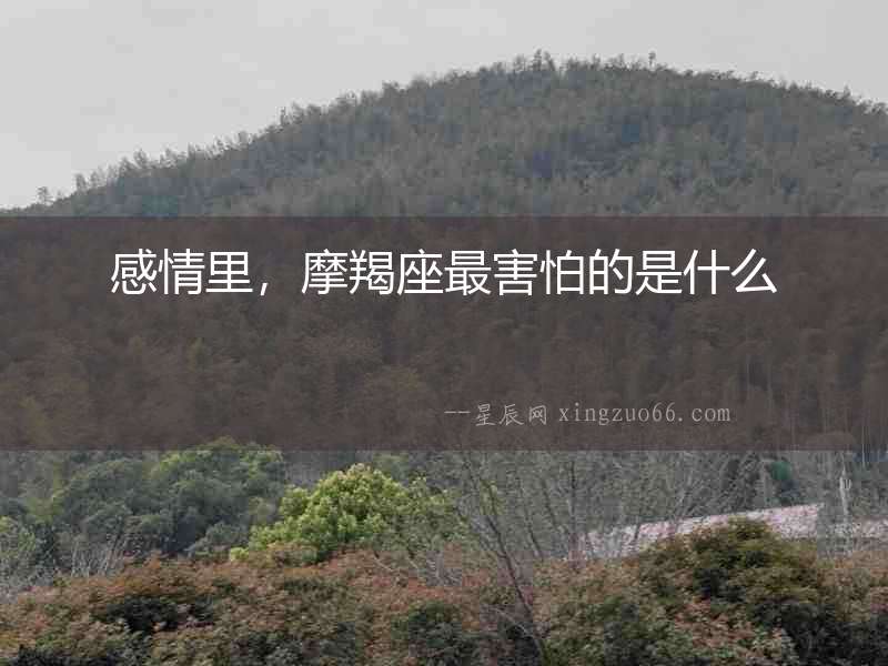 感情里，摩羯座最害怕的是什么