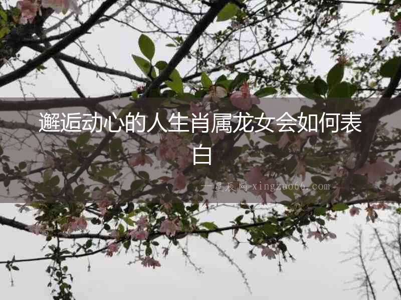 邂逅動心的人生肖屬龍女會如何表白