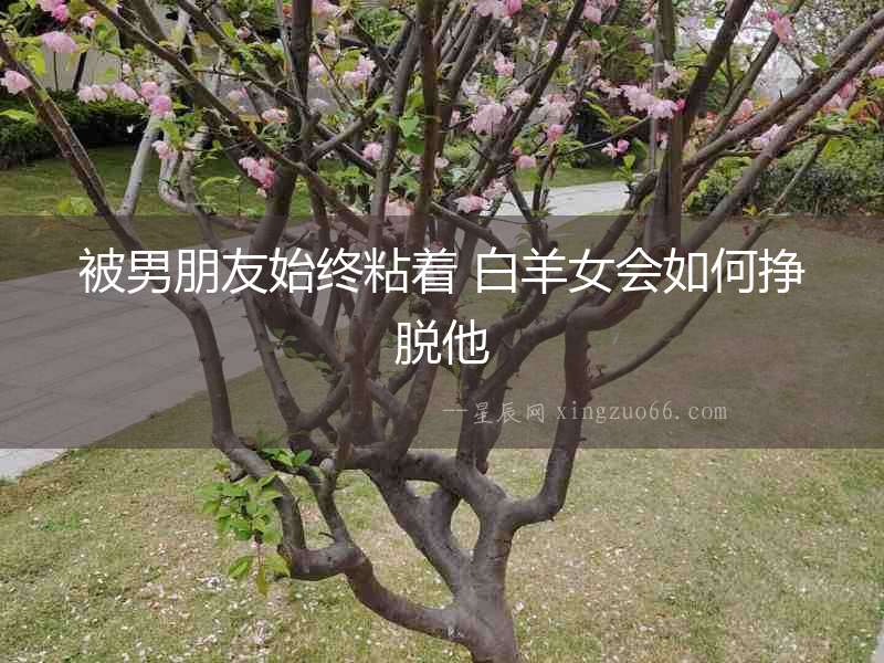 被男朋友始終粘著 白羊女會(huì)如何掙脫他