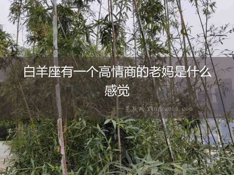 白羊座有一個高情商的老媽是什么感覺