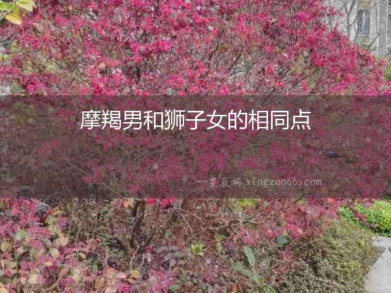 摩羯男和獅子女的相同點