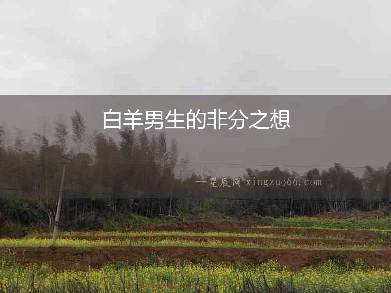 白羊男生的非分之想