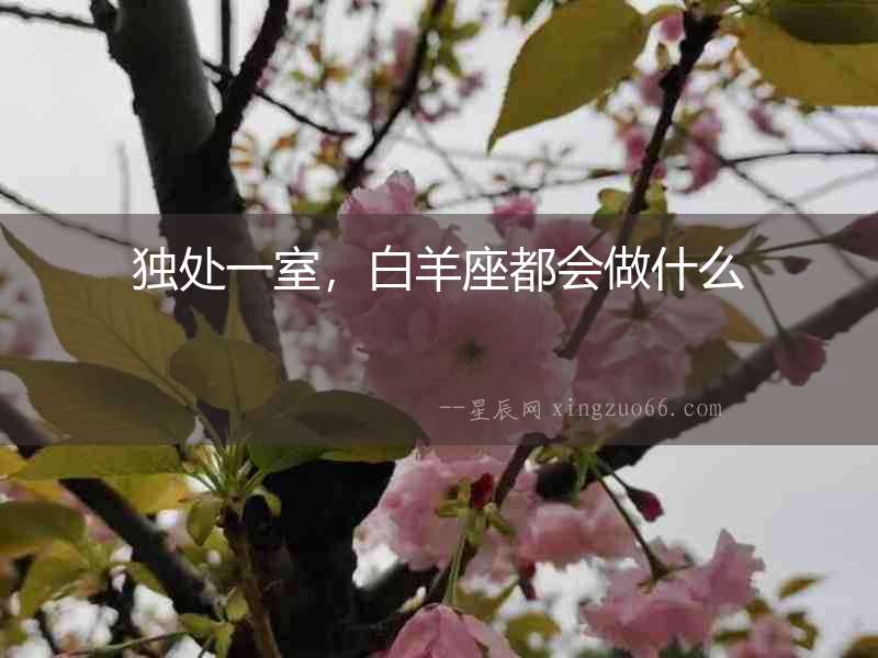 獨處一室，白羊座都會做什么