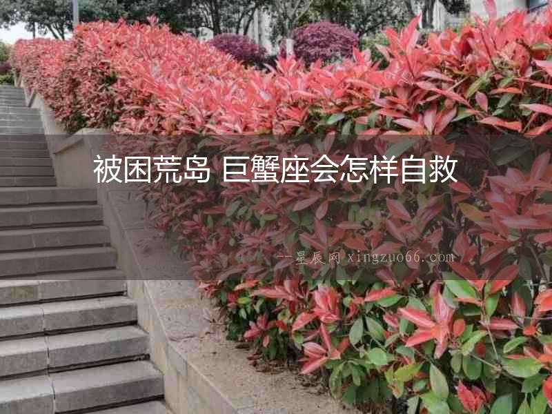 被困荒島 巨蟹座會怎樣自救