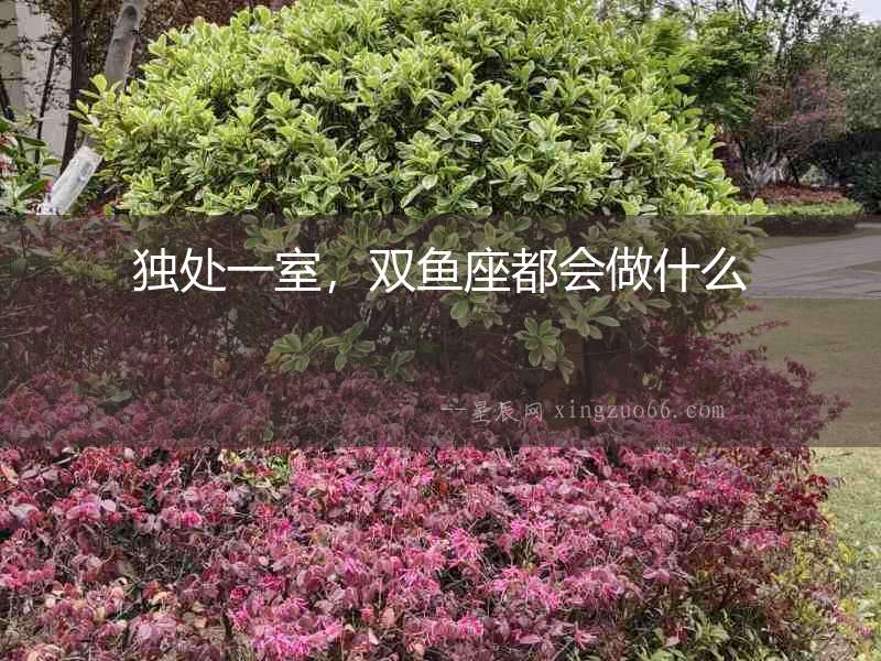 獨(dú)處一室，雙魚座都會做什么