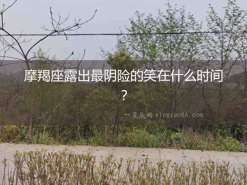 摩羯座露出最陰險的笑在什么時間？
