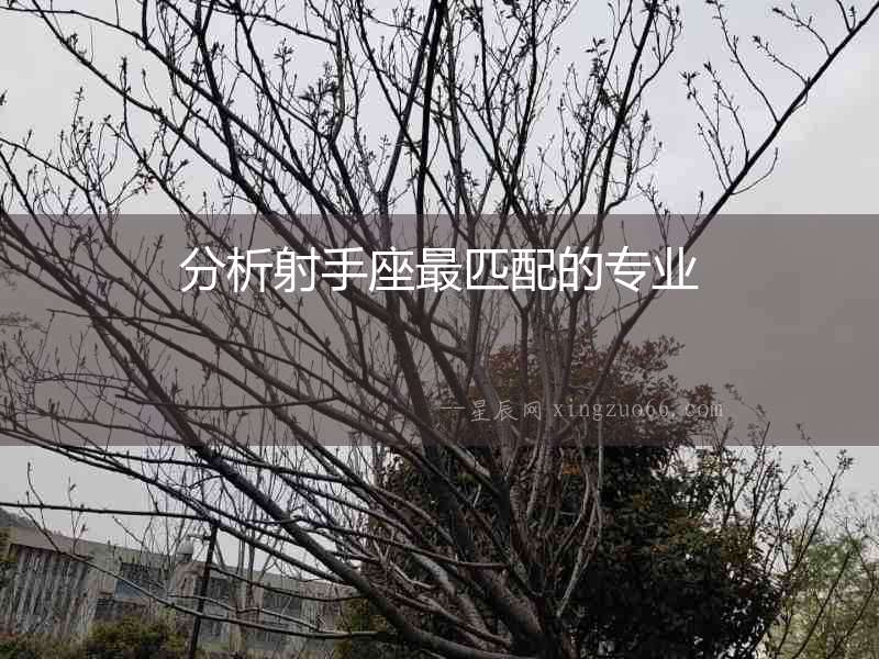分析射手座最匹配的專業(yè)