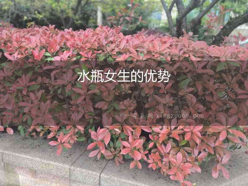 水瓶女生的優勢